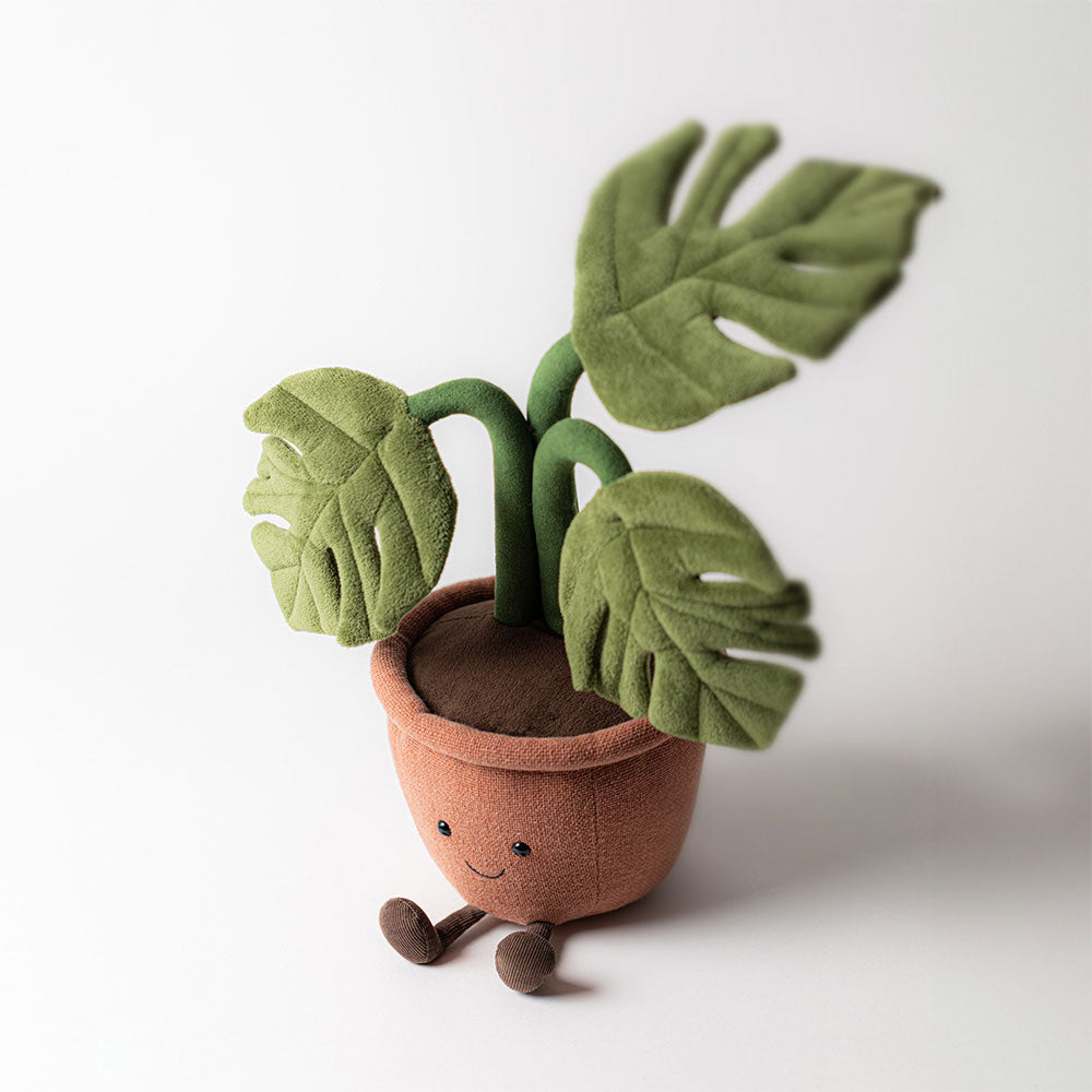 Amuseable Monstera Plant, View 1