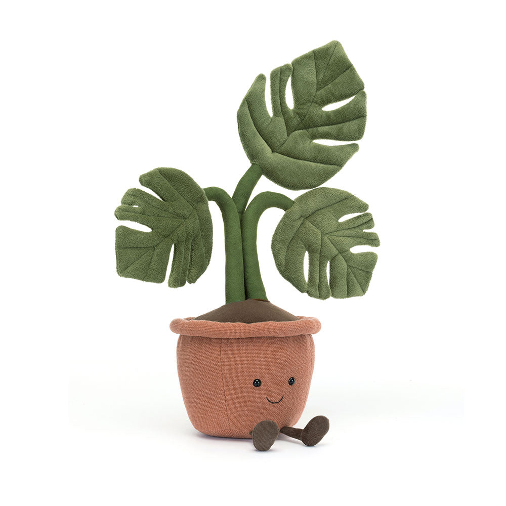 Amuseable Monstera Plant, Main View