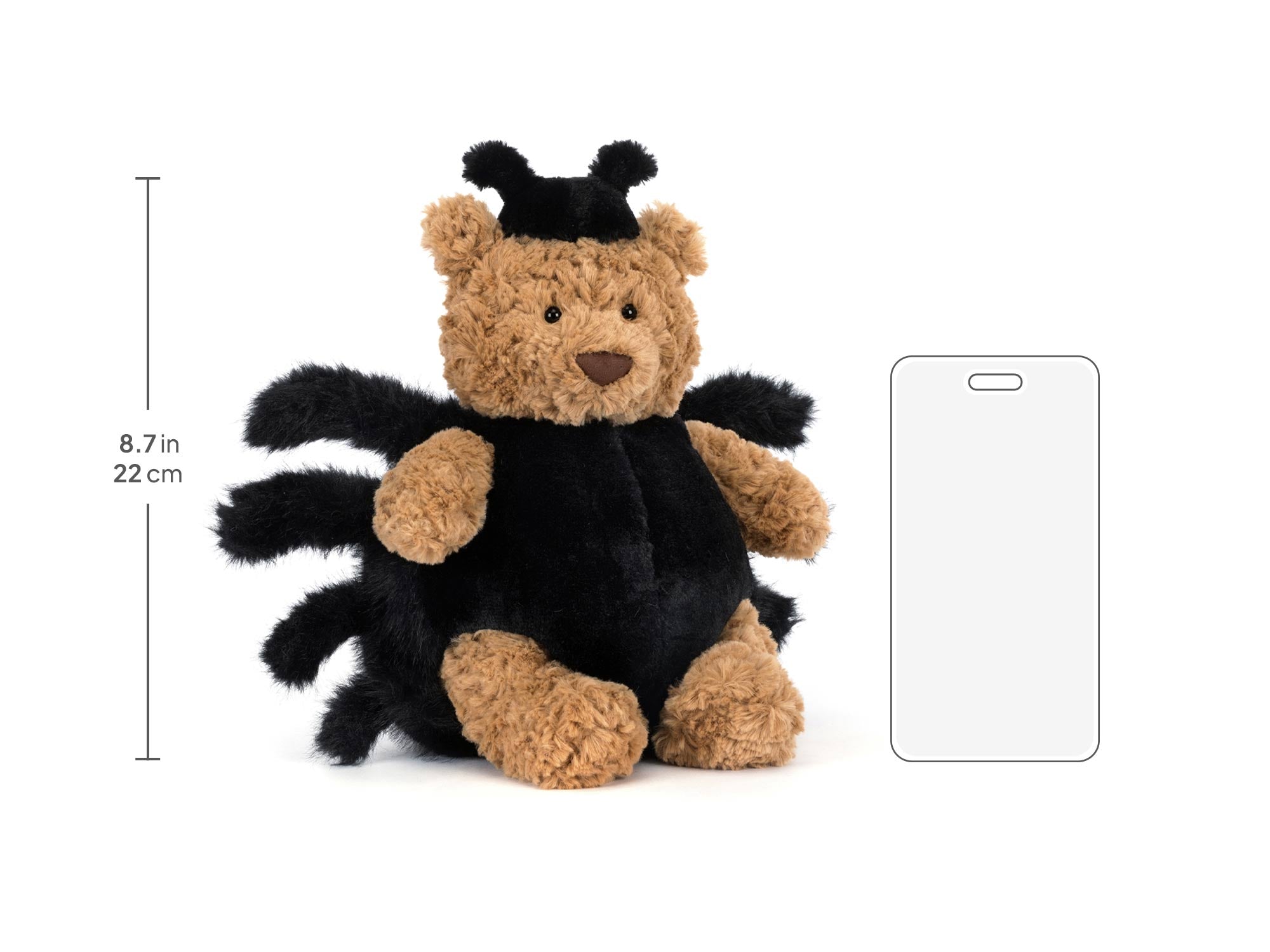 Bartholomew Bear Spider, size chart