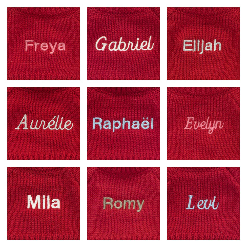 Bashful Fudge Puppy with Personalised Red Jumper, Main View