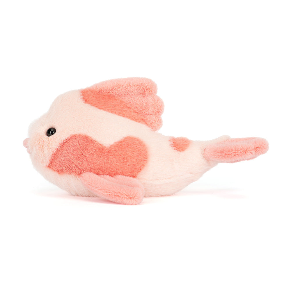 Fancy Carp , View 2