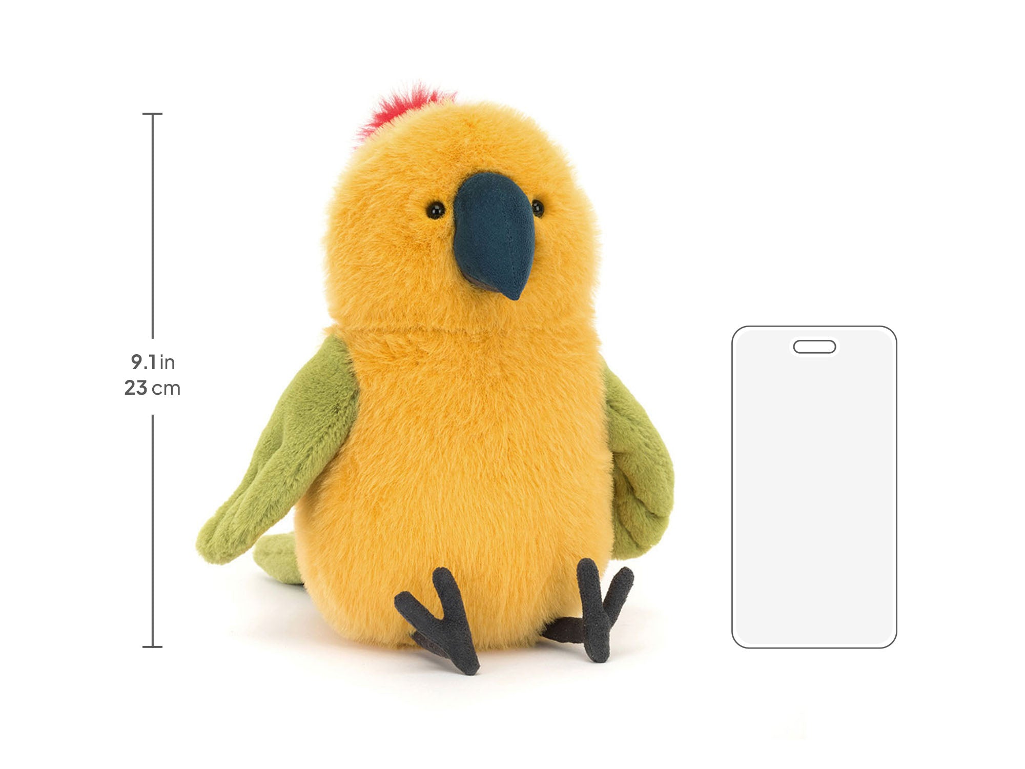 Budgeby Parrot size chart