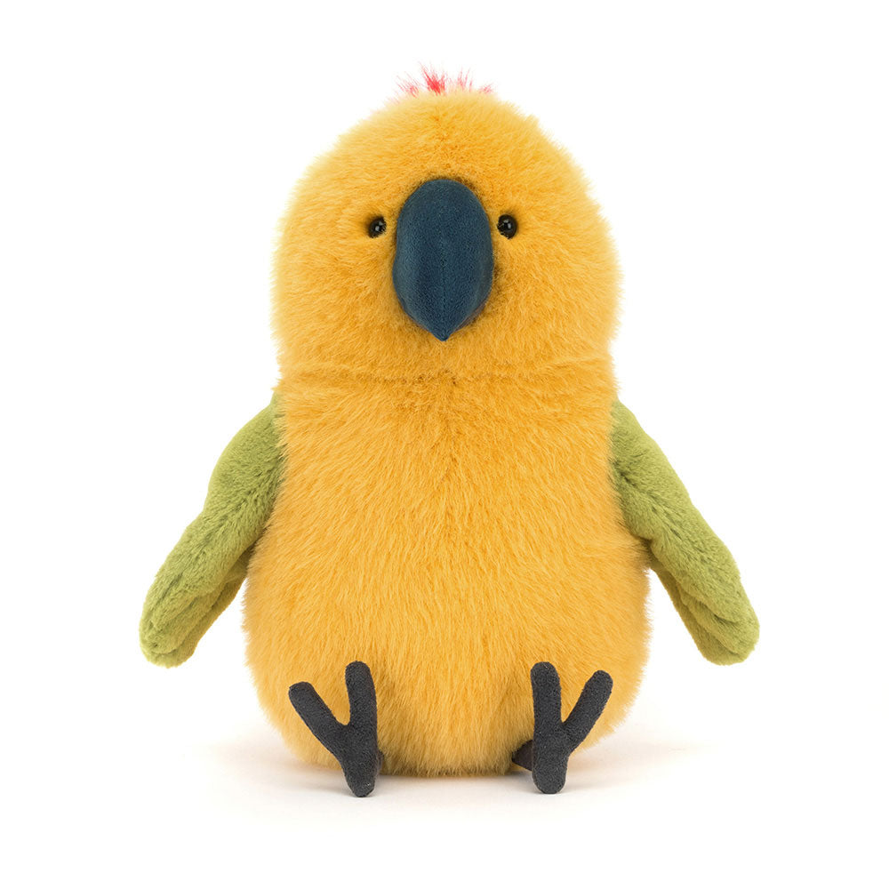 Budgeby Parrot, View 4
