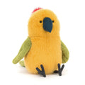 Budgeby Parrot, Main View