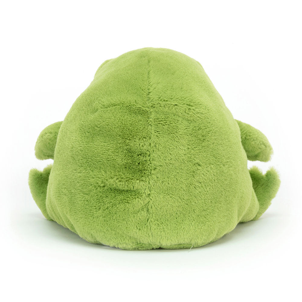 Ricky Rain Frog, View 3