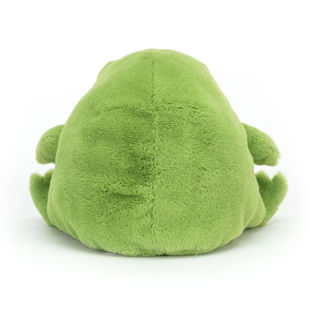 Ricky Rain Frog, View 3