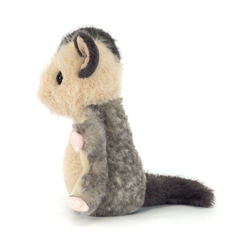 Lolly Sugar Glider, View 2